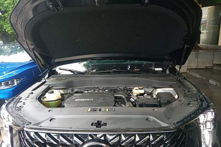 Used GAC Trumpchi GS8 2025 Linghang Series 2.0 TGDI Two-Wheel-Drive Luxury Edition 5 Seats Engine Bay