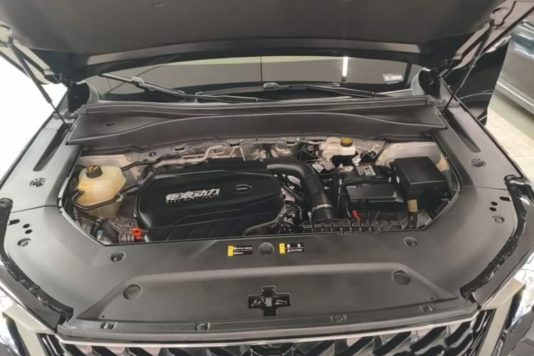 Used GAC Trumpchi GS8 2025 Linghang Series 2.0 TGDI Two-Wheel-Drive Luxury Edition 5 Seats Engine Bay