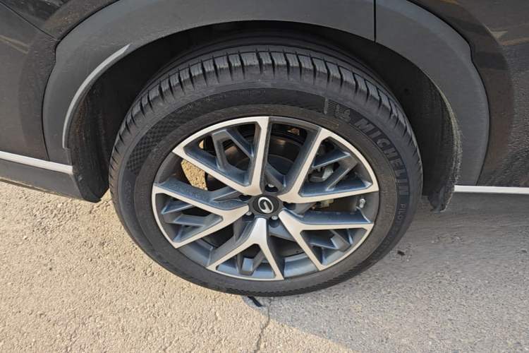 Used GAC Trumpchi GS8 2025 Linghang Series 2.0 TGDI Two-Wheel-Drive Luxury Edition 5 Seats Exterior 5