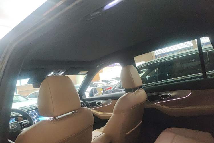 Used GAC Trumpchi GS8 2025 Linghang Series 2.0 TGDI Two-Wheel-Drive Luxury Edition 5 Seats Headliner