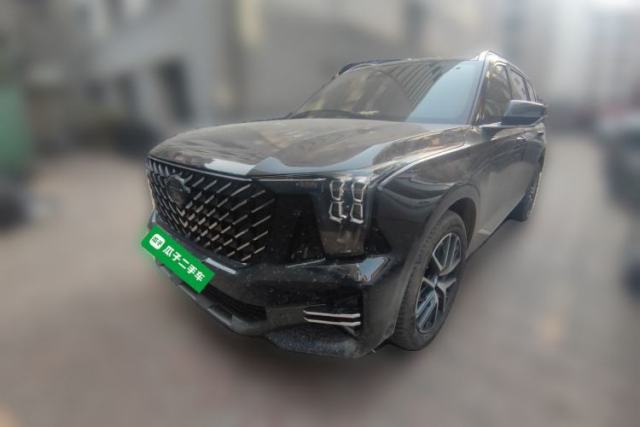 Used GAC Trumpchi GS8 2025 Linghang Series 2.0 TGDI Two-Wheel-Drive Luxury Edition 5 Seats