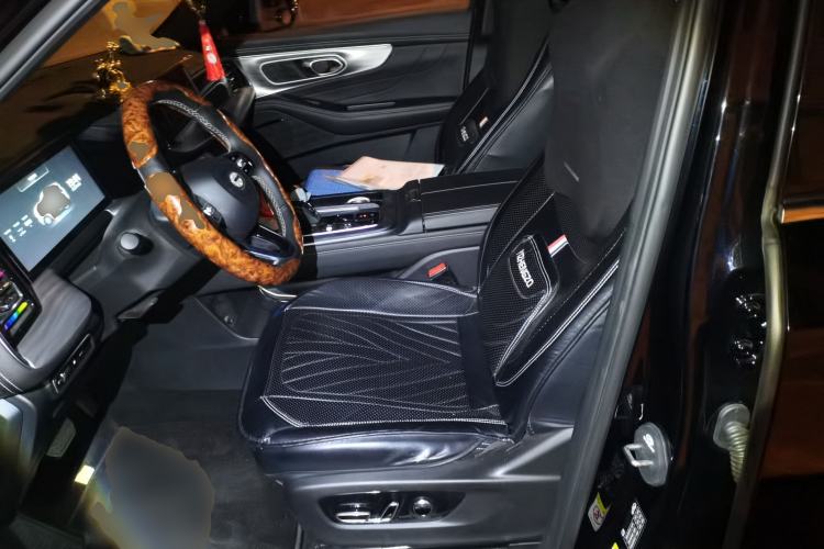 Used GAC Trumpchi GS8 2025 Linghang Series 2.0 TGDI Two-Wheel-Drive Luxury Edition 5 Seats Left Front Seat