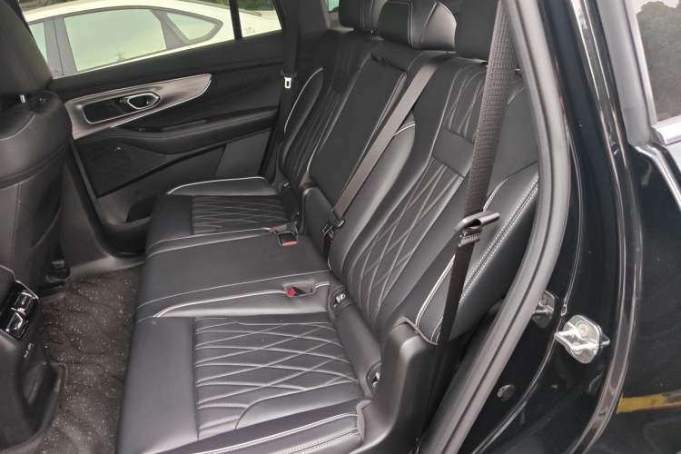 Used GAC Trumpchi GS8 2025 Linghang Series 2.0 TGDI Two-Wheel-Drive Luxury Edition 5 Seats Left Rear Seat
