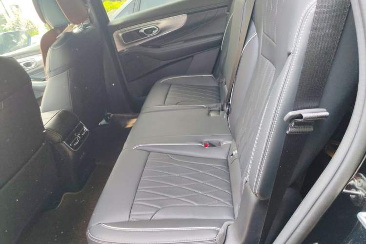 Used GAC Trumpchi GS8 2025 Linghang Series 2.0 TGDI Four-Wheel-Drive Luxury Edition 5 Seats Left Rear Seat