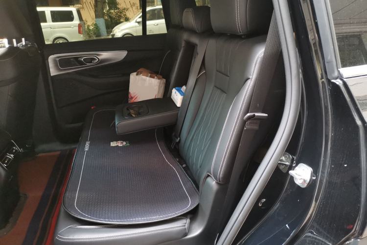 Used GAC Trumpchi GS8 2025 Linghang Series 2.0 TGDI Four-Wheel-Drive Luxury Edition 5 Seats Left Rear Seat