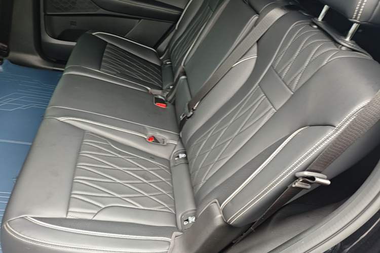 Used GAC Trumpchi GS8 2025 Linghang Series 2.0 TGDI Two-Wheel-Drive Luxury Edition 5 Seats Left Rear Seat