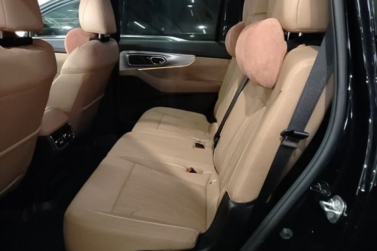 Used GAC Trumpchi GS8 2025 Linghang Series 2.0 TGDI Two-Wheel-Drive Luxury Edition 5 Seats Left Rear Seat