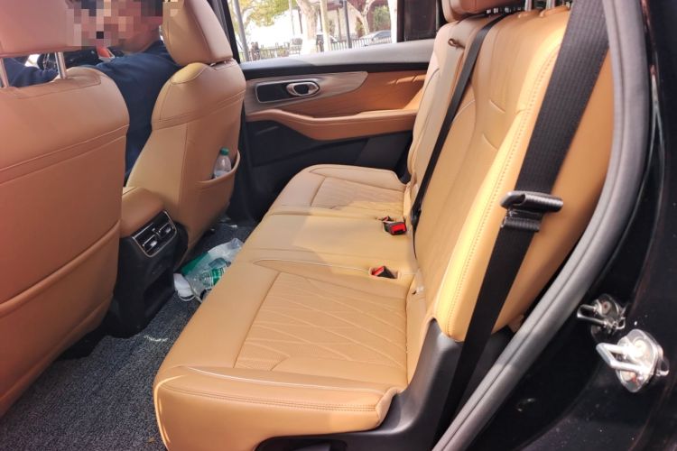 Used GAC Trumpchi GS8 2025 Linghang Series 2.0 TGDI Two-Wheel-Drive Luxury Edition 5 Seats Left Rear Seat