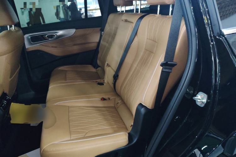 Used GAC Trumpchi GS8 2025 Linghang Series 2.0 TGDI Two-Wheel-Drive Luxury Edition 5 Seats Left Rear Seat