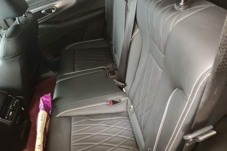 Used GAC Trumpchi GS8 2025 Linghang Series 2.0 TGDI Two-Wheel-Drive Luxury Edition 5 Seats Left Rear Seat