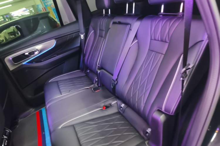 Used GAC Trumpchi GS8 2025 Linghang Series 2.0 TGDI Two-Wheel-Drive Luxury Edition 5 Seats Left Rear Seat