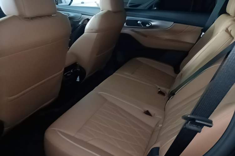 Used GAC Trumpchi GS8 2025 Linghang Series 2.0 TGDI Two-Wheel-Drive Luxury Edition 5 Seats Left Rear Seat
