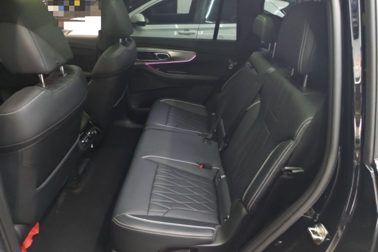 Used GAC Trumpchi GS8 2025 Linghang Series 2.0 TGDI Two-Wheel-Drive Luxury Edition 5 Seats Left Rear Seat