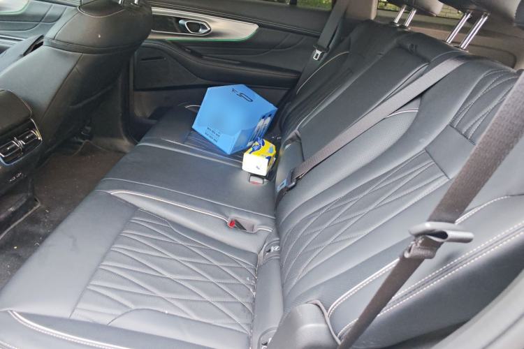 Used GAC Trumpchi GS8 2025 Linghang Series 2.0 TGDI Two-Wheel-Drive Luxury Edition 5 Seats Left Rear Seat