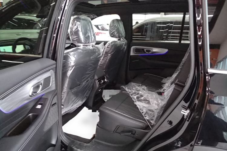 Used GAC Trumpchi GS8 2025 Linghang Series 2.0 TGDI Two-Wheel-Drive Luxury Edition 5 Seats Left Rear Seat