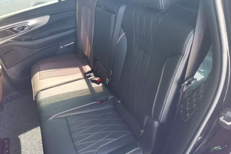 Used GAC Trumpchi GS8 2025 Linghang Series 2.0 TGDI Two-Wheel-Drive Luxury Edition 5 Seats Left Rear Seat
