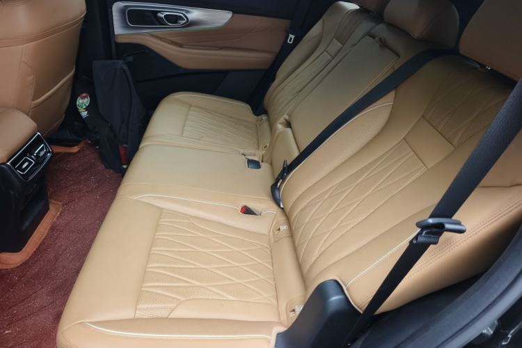 Used GAC Trumpchi GS8 2025 Linghang Series 2.0 TGDI Two-Wheel-Drive Luxury Edition 5 Seats Left Rear Seat