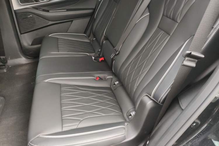 Used GAC Trumpchi GS8 2025 Linghang Series 2.0 TGDI Two-Wheel-Drive Luxury Edition 5 Seats Left Rear Seat