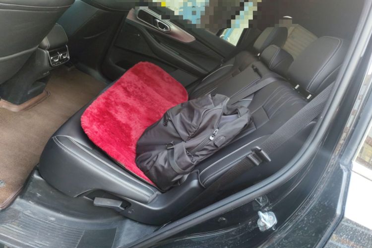 Used GAC Trumpchi GS8 2025 Linghang Series 2.0 TGDI Two-Wheel-Drive Luxury Edition 5 Seats Left Rear Seat