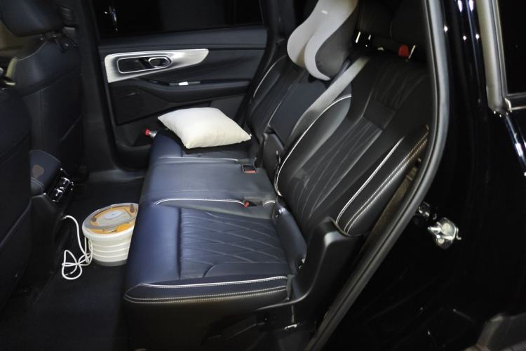 Used GAC Trumpchi GS8 2025 Linghang Series 2.0 TGDI Two-Wheel-Drive Luxury Edition 5 Seats Left Rear Seat