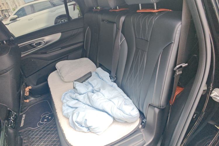 Used GAC Trumpchi GS8 2025 Linghang Series 2.0 TGDI Two-Wheel-Drive Luxury Edition 5 Seats Left Rear Seat