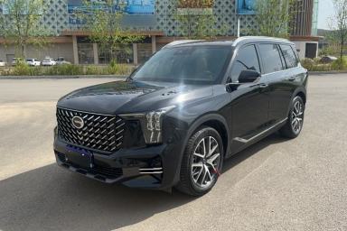 Used GAC Trumpchi GS8 2025 Linghang Series 2.0 TGDI Two-Wheel-Drive Luxury Edition 5 Seats