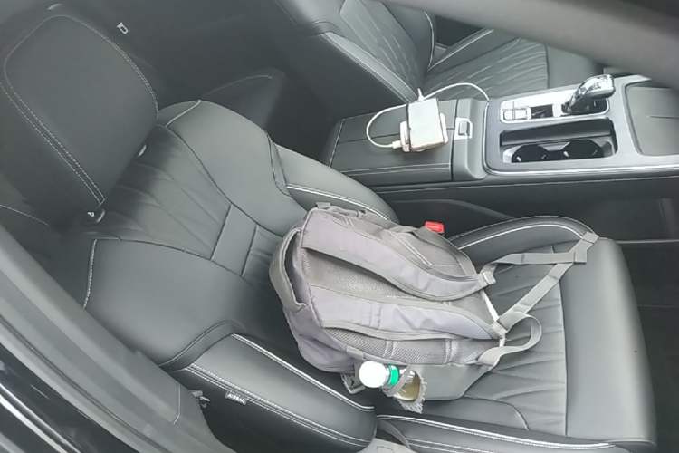 Used GAC Trumpchi GS8 2025 Linghang Series 2.0 TGDI Two-Wheel-Drive Luxury Edition 5 Seats Right Front Seat