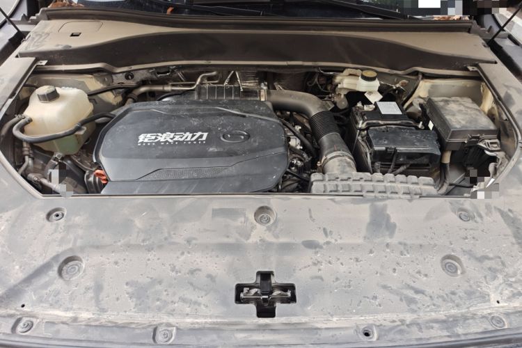Used GAC Trumpchi GS8 2025 Linghang Series 2.0 TGDI Two-Wheel-Drive Luxury Edition 5 Seats Engine Bay