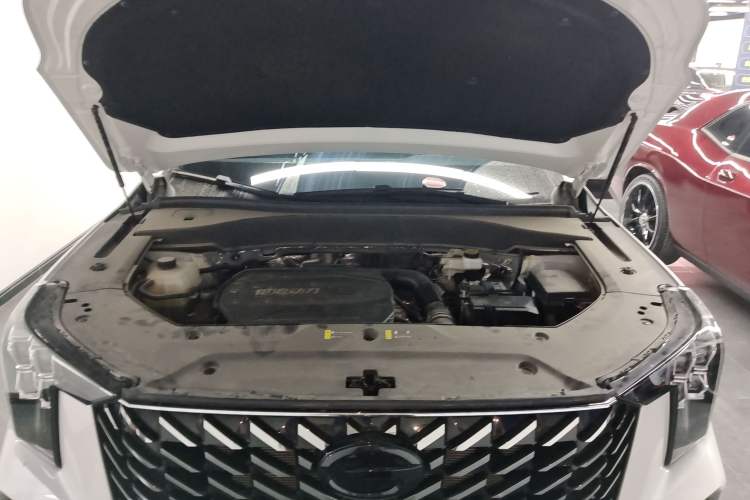 Used GAC Trumpchi GS8 2025 Linghang Series 2.0 TGDI Two-Wheel-Drive Luxury Edition 5 Seats Engine Bay