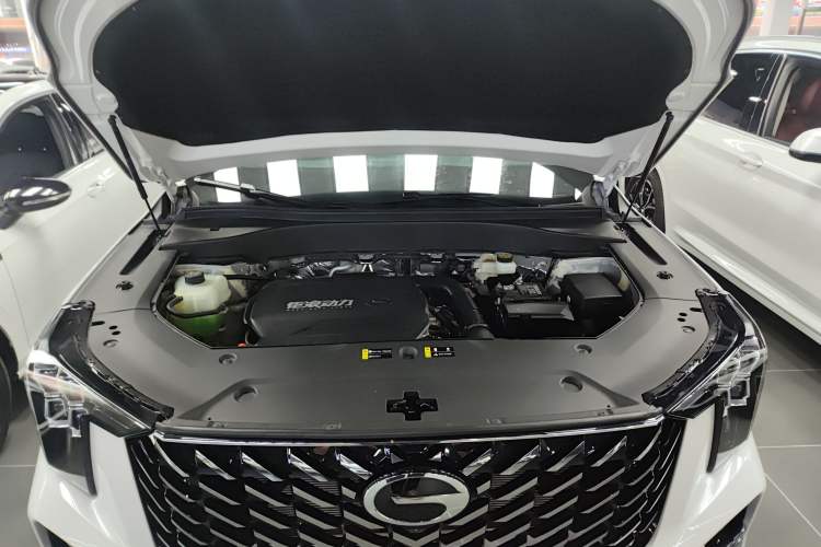 Used GAC Trumpchi GS8 2025 Linghang Series 2.0 TGDI Two-Wheel-Drive Luxury Edition 5 Seats Engine Bay