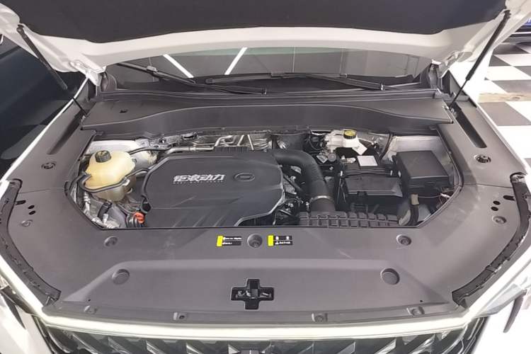 Used GAC Trumpchi GS8 2025 Linghang Series 2.0 TGDI Two-Wheel-Drive Luxury Edition 5 Seats Engine Bay