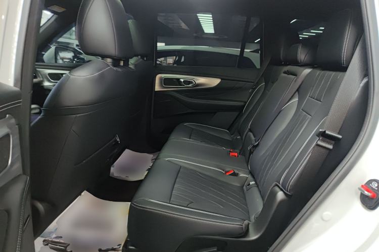 Used GAC Trumpchi GS8 2025 Linghang Series 2.0 TGDI Two-Wheel-Drive Luxury Edition 5 Seats Left Rear Seat