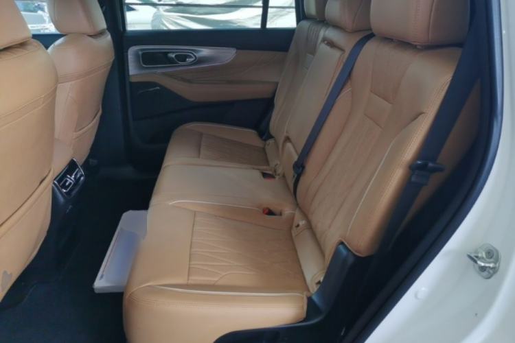 Used GAC Trumpchi GS8 2025 Linghang Series 2.0 TGDI Two-Wheel-Drive Luxury Edition 5 Seats Left Rear Seat