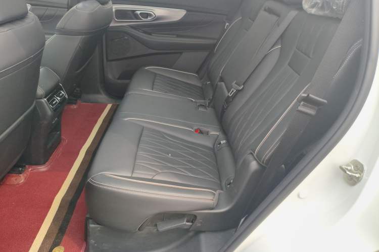 Used GAC Trumpchi GS8 2025 Linghang Series 2.0 TGDI Two-Wheel-Drive Luxury Edition 5 Seats Left Rear Seat