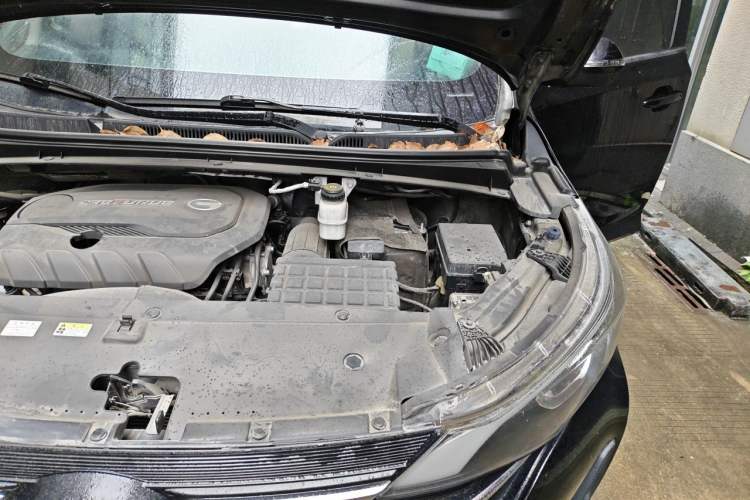 Used GAC Trumpchi M6 2019 270T DCT Luxury Edition (7-seater) China VI Engine Bay Left