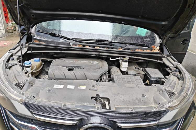 Used GAC Trumpchi M6 2019 270T DCT Luxury Edition (7-seater) China VI Engine Bay