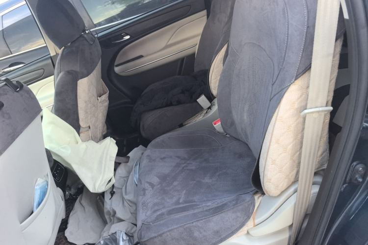 Used GAC Trumpchi M6 2019 270T DCT Elite Edition (7-seater) China VI Left Rear Seat