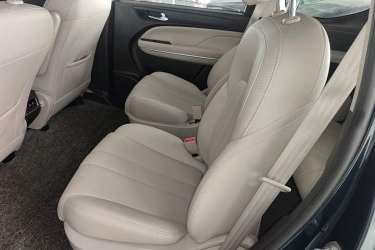 Used GAC Trumpchi M6 2019 270T Automatic Luxury Edition (7-seater) China V Standard Left Rear Seat