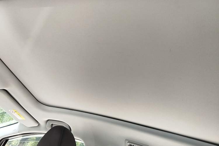 Used GAC Trumpchi M6 2019 270T DCT Prestige Edition (6-Seater) China VI Headliner