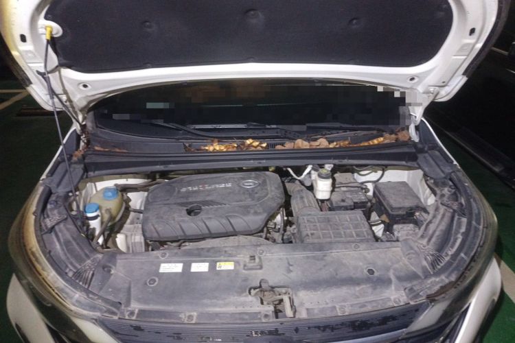Used GAC Trumpchi M6 2019 270T Automatic Luxury Edition (6-seater) - China V Standard Engine Bay
