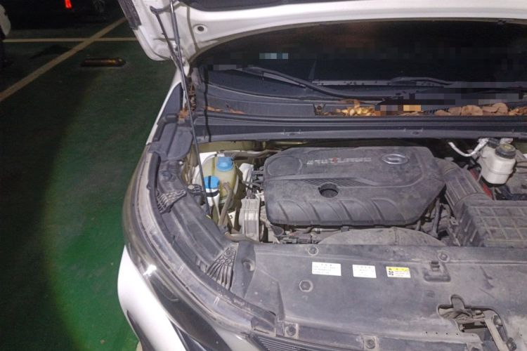 Used GAC Trumpchi M6 2019 270T Automatic Luxury Edition (6-seater) - China V Standard Engine Bay Right