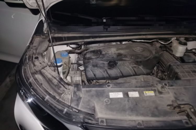 Used GAC Trumpchi M6 2019 270T Automatic Luxury Edition (7-seater) China V Standard Engine Bay Right