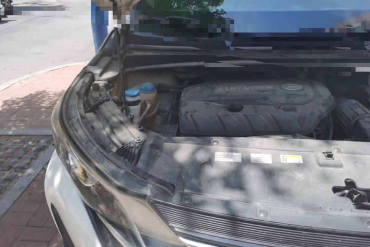 Used GAC Trumpchi M6 2019 270T Automatic Elite Edition (7-seater) China V Standard Engine Bay Right