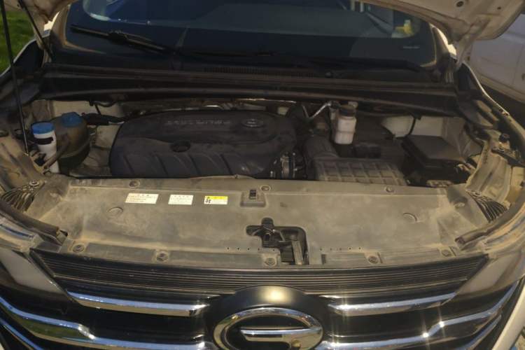 Used GAC Trumpchi M6 2019 270T DCT Luxury Edition (6-seater) China VI Engine Bay