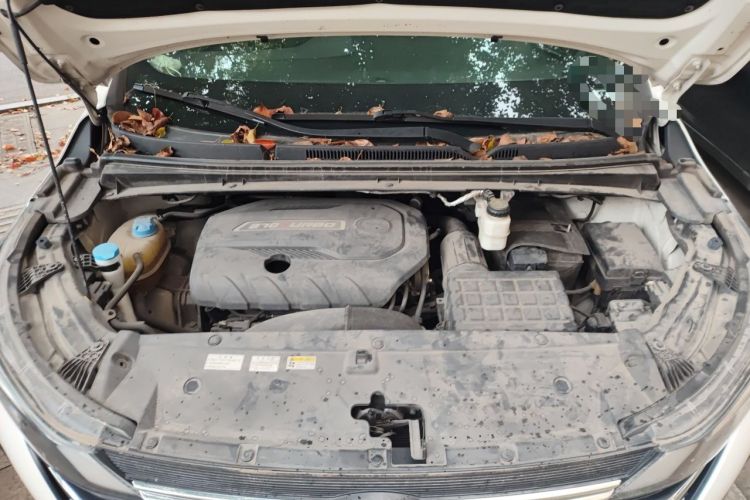 Used GAC Trumpchi M6 2019 270T DCT Luxury Edition (7-seater) China VI Engine Bay