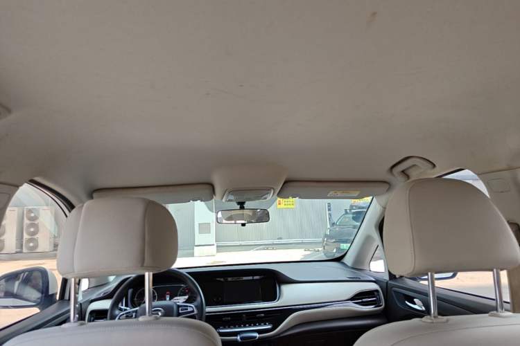 Used GAC Trumpchi M6 2019 270T DCT Elite Edition (7-seater) China VI Headliner