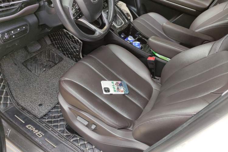 Used GAC Trumpchi M6 2019 270T DCT Prestige Edition (7-seater) China VI Left Front Seat