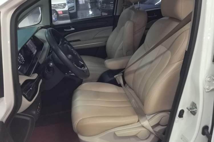 Used GAC Trumpchi M6 2019 270T DCT Elite Edition (7-seater) China VI Left Front Seat
