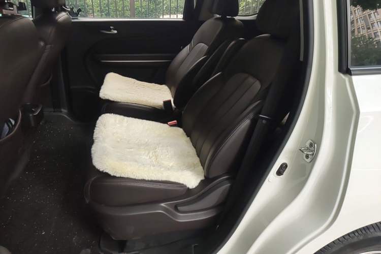Used GAC Trumpchi M6 2019 270T DCT Luxury Edition (7-seater) China VI Left Rear Seat