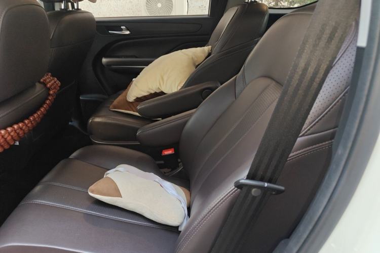 Used GAC Trumpchi M6 2019 270T DCT Prestige Edition (7-seater) China VI Left Rear Seat